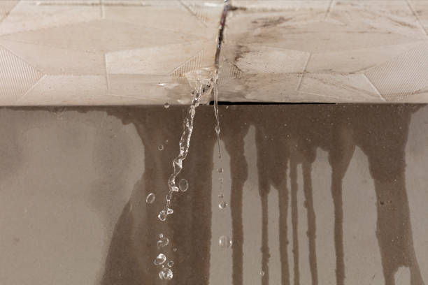 Professional Water Damage Repair technician working in Henry, IL